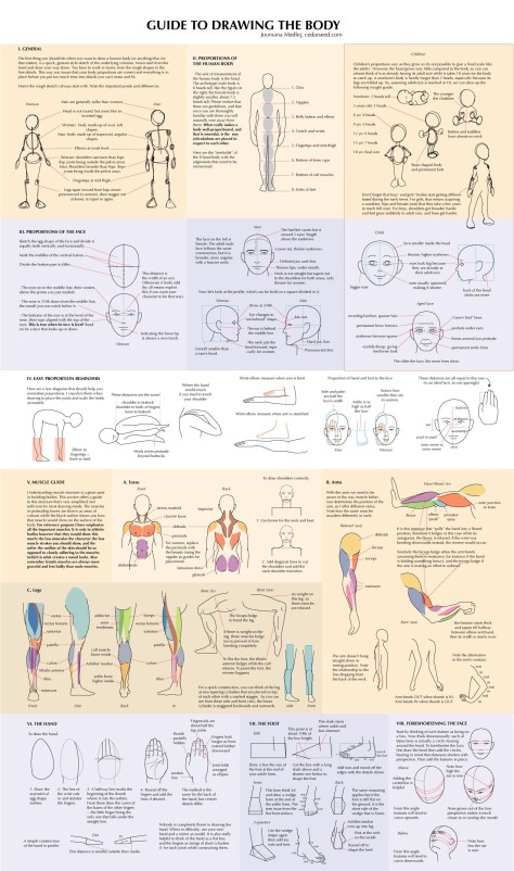 How to draw the human body